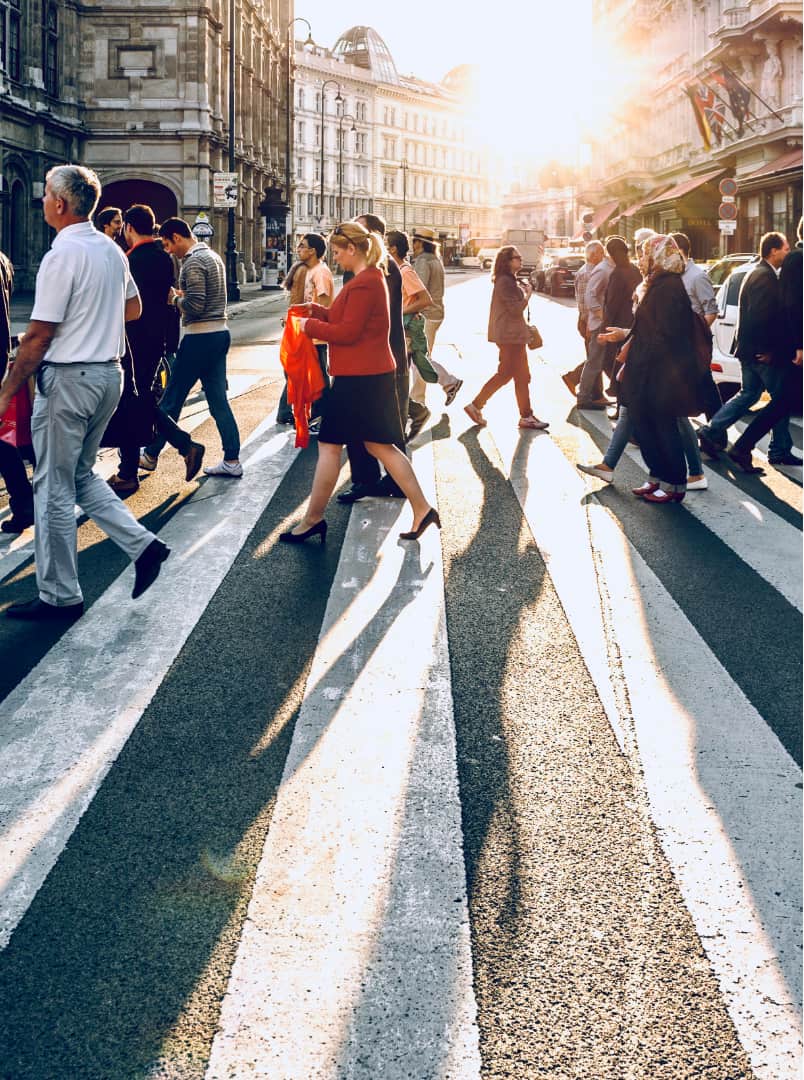 Zebra Crossing